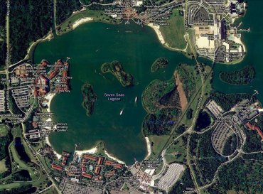 seven seas lagoon alligator