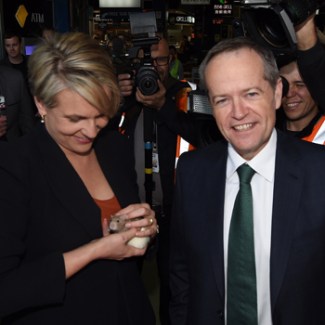 plibersek rat
