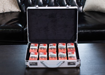 the briefcase