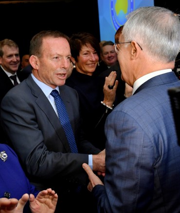 tony abbott