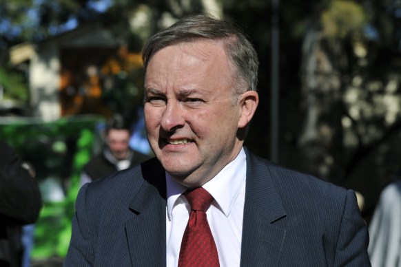 Anthony Albanese