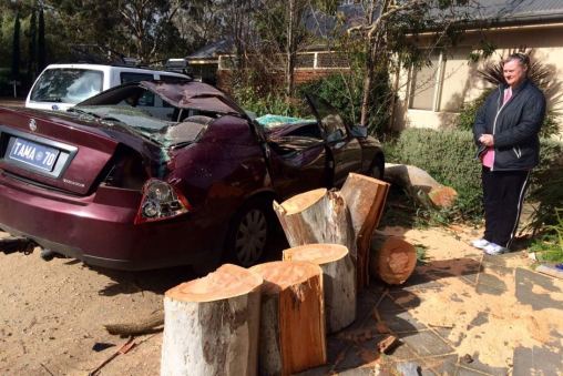 Owner looks at her crushed car after a tree fell at Meadows. Photo: ABC