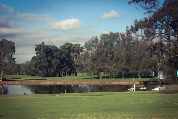 The plan was forced to land after taking off from Bankstown airport.