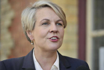 Labor's Tanya Plibersek: already the subject of leadership rumours. Photo: AAP.