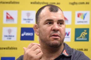 Bledisloe cup rugby wallabies Michael Cheika