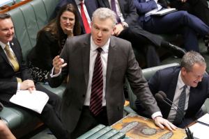 Tony burke