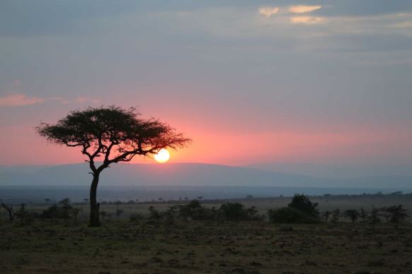 The Gorongosa National Park is recovering from years of civil war.