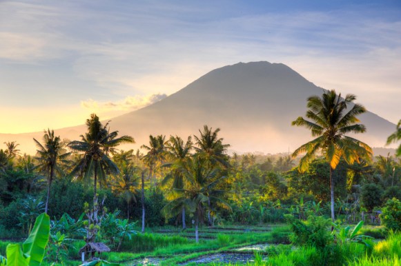 sarah connor bali murder