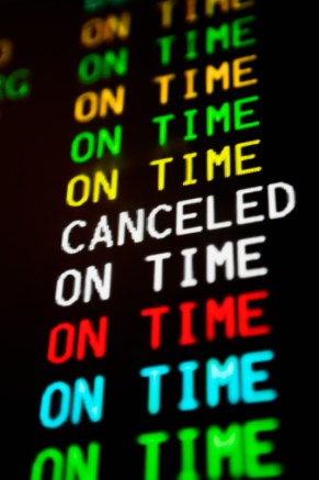 tigerair heartless treatment