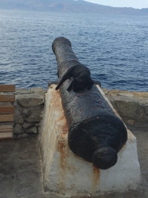 RBA cannons are silent. Photo: Getty