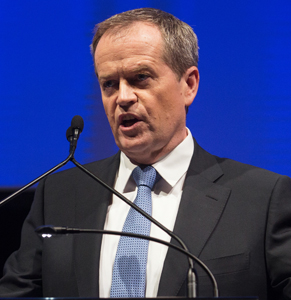 Bill Shorten, then minister for financial services, was responsible ... Photo: AAP