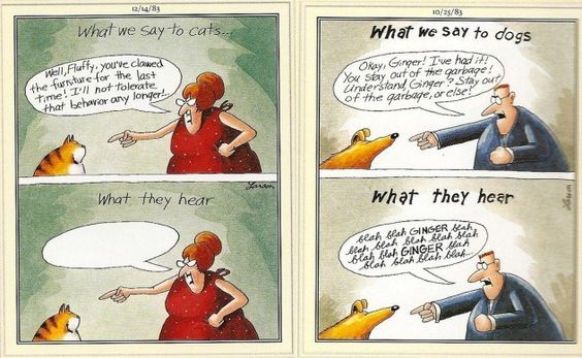 A satirical take on pets' brains by cartoonist Gary Larson.