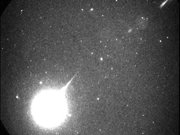 queensland fireball