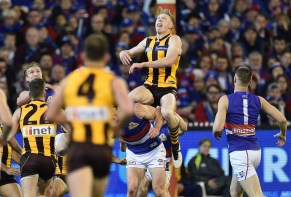 Siciliy flies for Hawthorn
