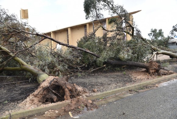 Destructive winds literally ripped up trees and roofs this week. Photo: AAP