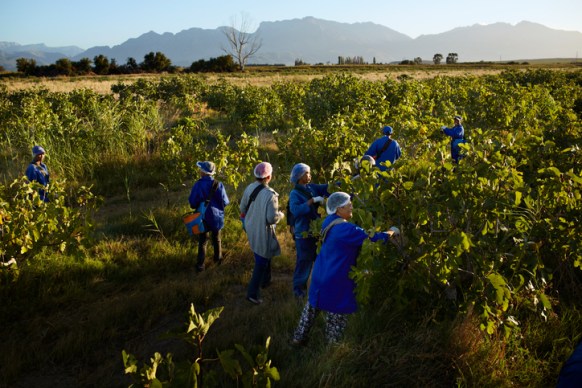 "If workers don’t show up, that hugely affects the business." Photo: Getty.
