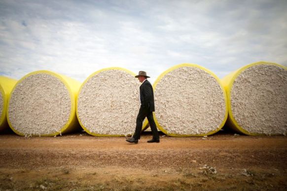 Barnaby Joyce says he did not always wear a wide-brimmed hat.