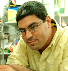 Prof Ofer Azar.