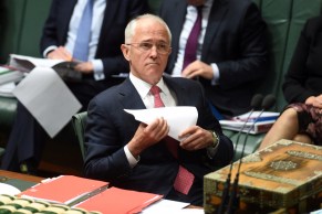 Malcolm Turnbull Plebiscite