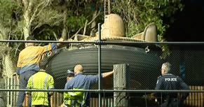 Dreamworld inspection