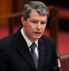 Liberal senator Fawcett said the proposal has been led by the Coalition backbench, not at the cabinet level. Photo: AAP