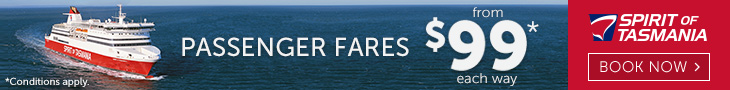 the-new-daily-730-x-90-99-fares
