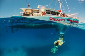 The pair who died were among a group of 21 people who took the Passions of Paradise tour.
