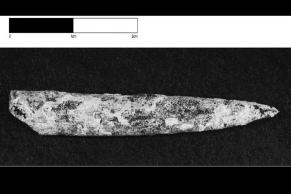 A sharpened bone point, dated to 40-38,000 years old, is oldest bone tool yet found in Australia.