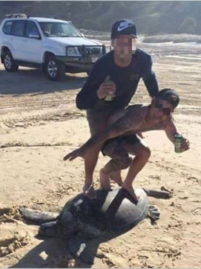The photo of two men 'surfing' on a protected green turtle has been shared widely on social media.