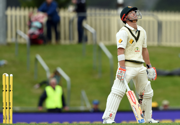 david warner south africa