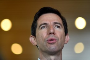 simon birmingham