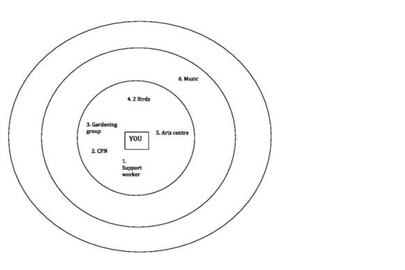 An example diagram of a study participant's support networks.