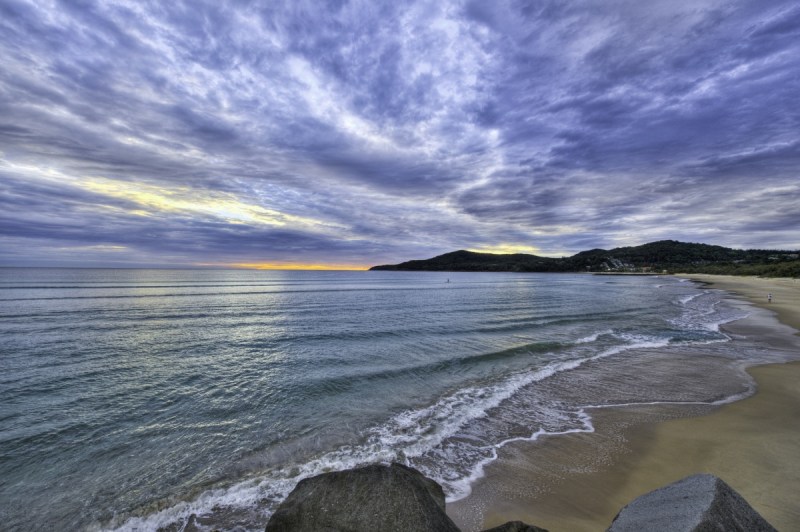 Irukandji jellyfish moving further south