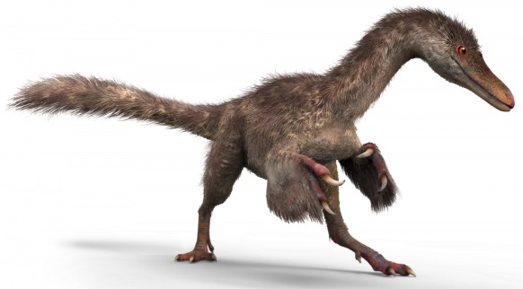 An illustration of that the flightless theropod species may have looked like. Photo: Cheung Chung-tat and Liu Yi
