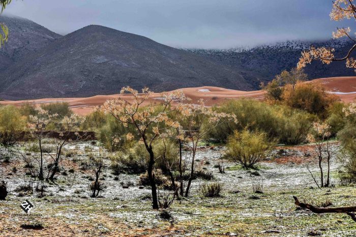 Snow in Sahara