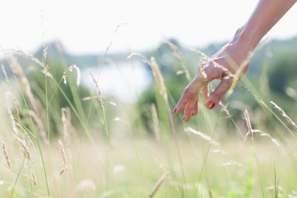 grass
