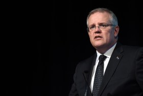scott morrison