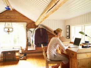 teleworker 