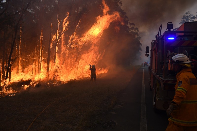 bushfire