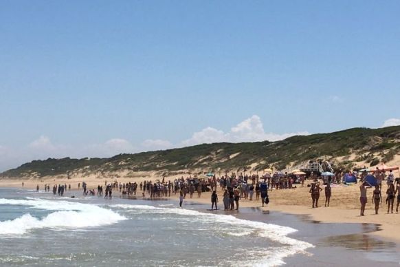 Point Lonsdale shark sighting