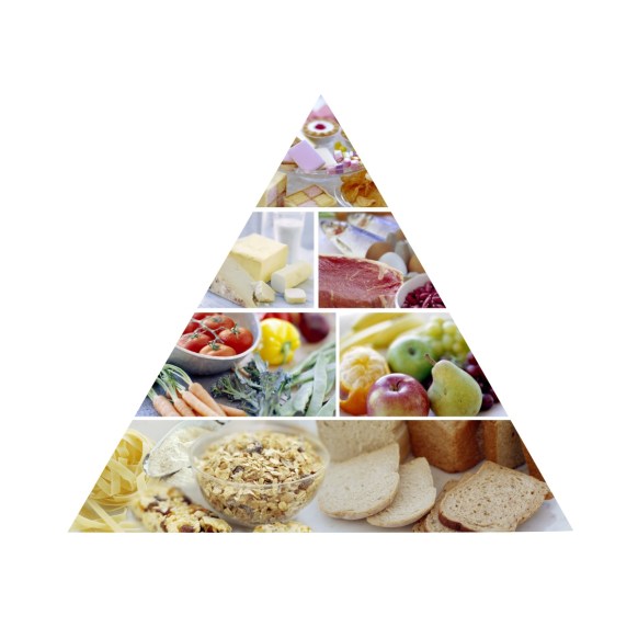 food pyramid