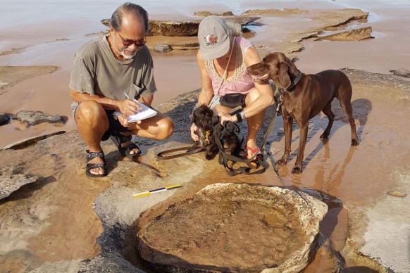 Dinosaur footprints on Kimberley beach