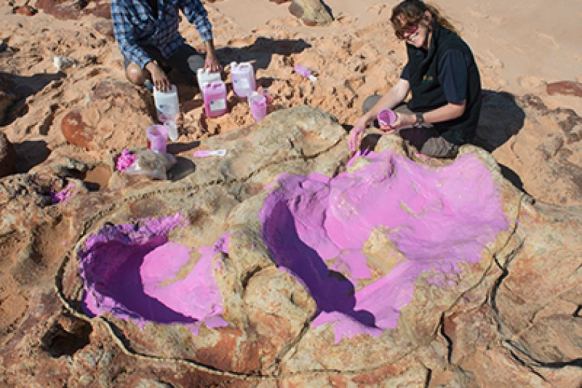 Kimberley dinosaur palaeontologist