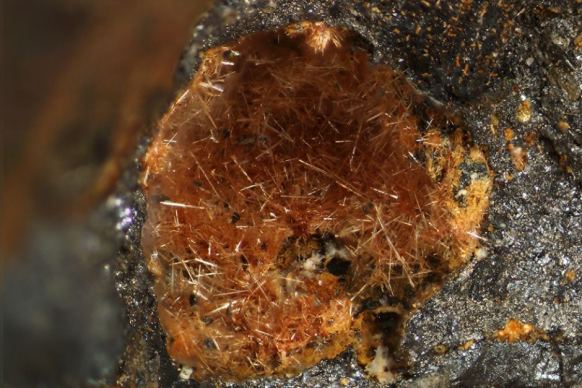 Nealite