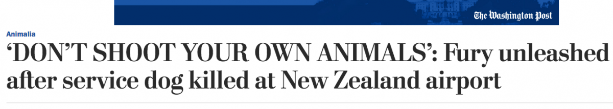 Washington Post headline NZ dog shooting