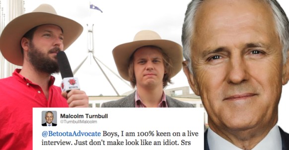 turnbull-betoota