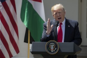 Donald Trump on Syria