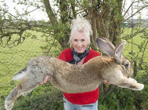 Simon's father Darius was a world record holder. Photo: Pintinterest/Damien McFadden