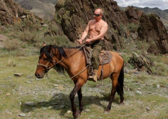 Bare-chested Vladimir Putin atop his horse in "standard sexual orientation", the way he prefers to be depicted.