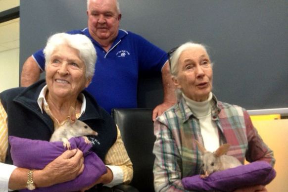 Jane Goodall and Dawn Fraser holding baby bilbies